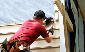 Best Siding Painting and Refinishing  in Ramtown, NJ